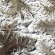 Illustration for article titled Finding The Tallest Mountain On Earth Is Strangely Elusive